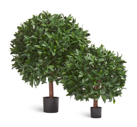 Лавр круглый с UV-фильтром уличный