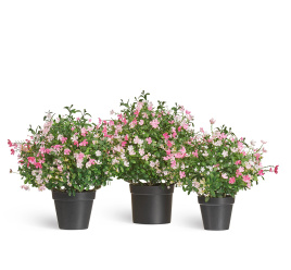 Альпийское разнотравье с нежно-розовыми и белыми цветами (3 размера)