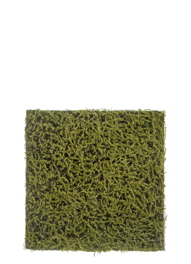 Мох Сфагнум Fuscum тёплый зелёный (полотно)