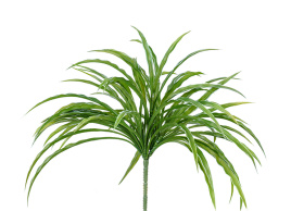 Трава Ванилла Грасс бело-зелёная