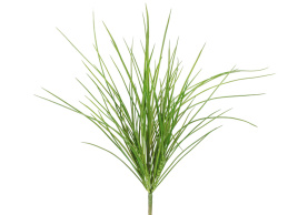 Трава Оньон куст малый