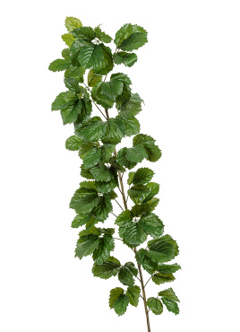 Тетрастигма ветвь де Люкс интерьерная (с крепежным элементом)