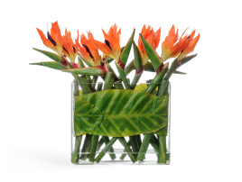 Стрелиции в Листах в стекле с водой 47 см