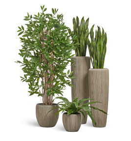 Сет № 42 - Композиция в кашпо Treez Effectory Wow Капучино