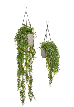 Сет № 87 - Композиция с папоротником в подвесных кашпо Treez Effectory Beton