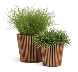 Сет № 142 - Композиция Трава микс в кашпо Treez Effectory Timberline