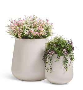 Сет № 155 - Композиция с цветущими полевыми кустами в кашпо Treez Ergo Fine Rock