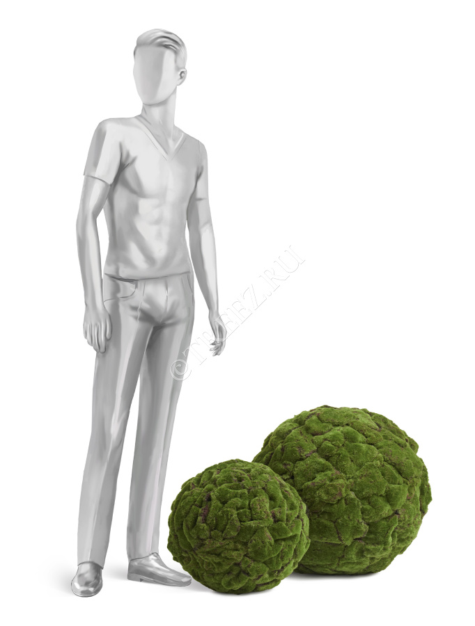 Шар из мха (Арт-объект) фото