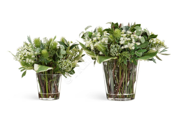 "Green Lifestyle" в стеклянной вазе с водой фото