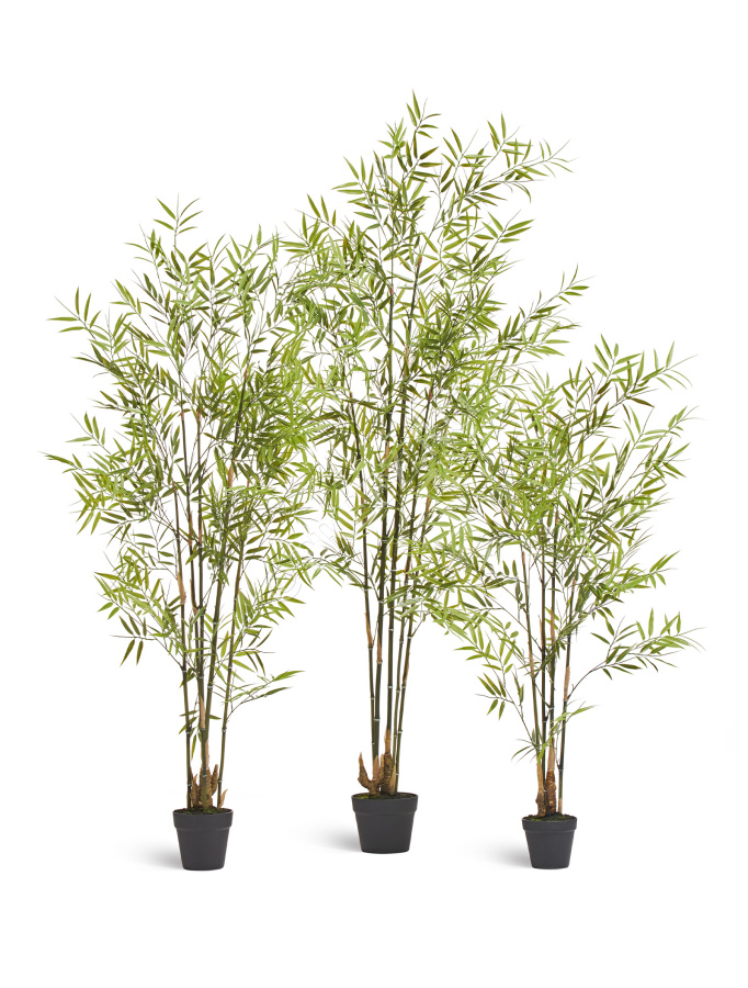 Бамбук японский Style (с UV-фильтром)  фото