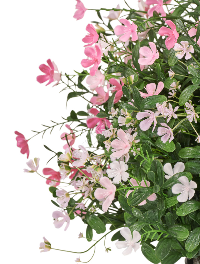 Альпийское разнотравье с нежно-розовыми и белыми цветами (3 размера) фото