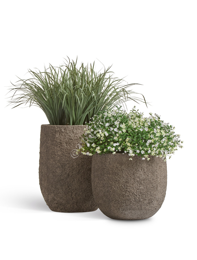 Альпийское разнотравье с белыми цветами (3 размера) фото