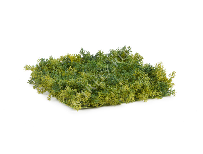 Мох Ягель зелёный микс (коврик) фото