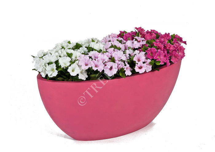 Петуния куст ярко-сиреневый фото