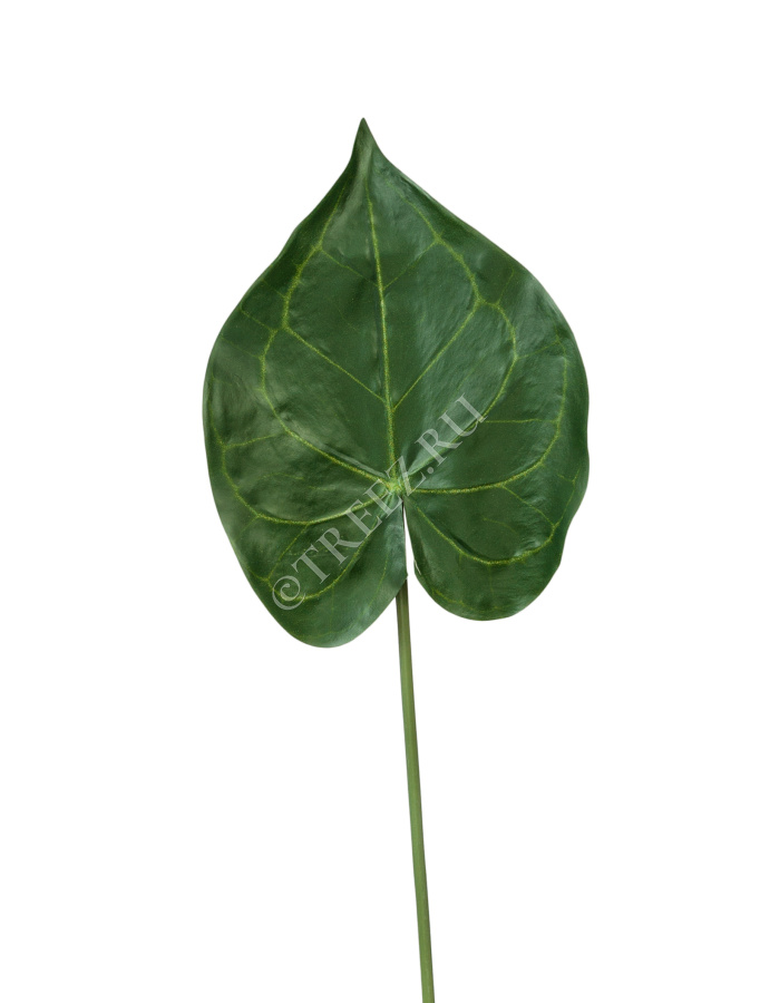 Лист Кристалины фото