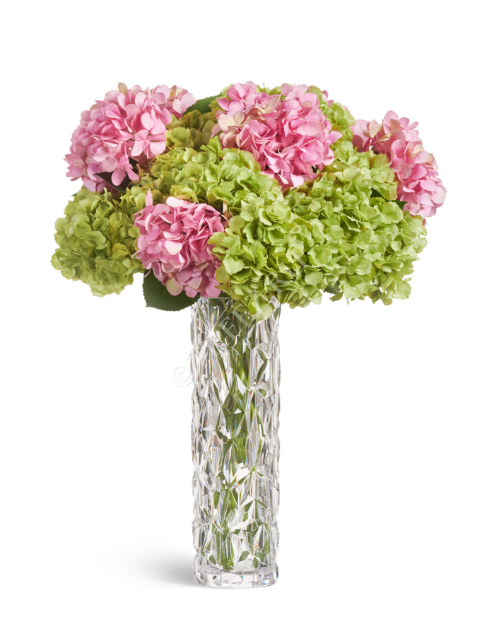 Гортензия "Grande Fiore" ярко-розовая фото