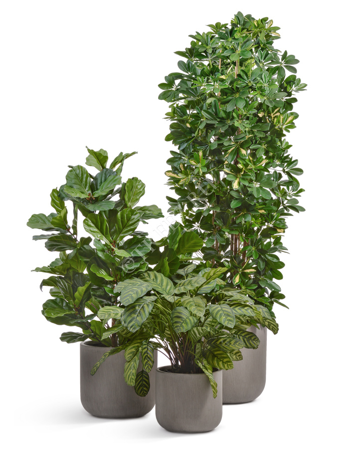 Кашпо TREEZ ERGO - Just - Цилиндр - Мокко фото