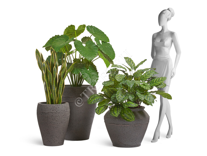 Кашпо TREEZ ERGO - Nero - Амфора - Чёрный туф фото