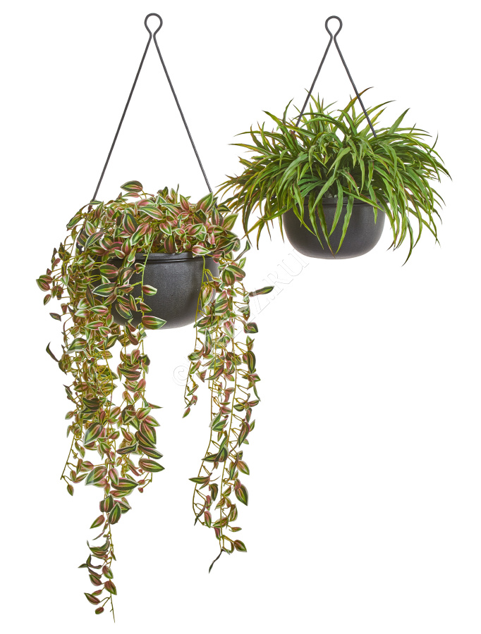 Кашпо TREEZ Effectory - Beton - Полусфера подвесная - Тёмно-серый бетон фото