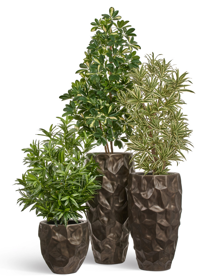 Кашпо TREEZ Effectory - Metal - Округлая чаша Design Crumple - Чернёная бронза фото