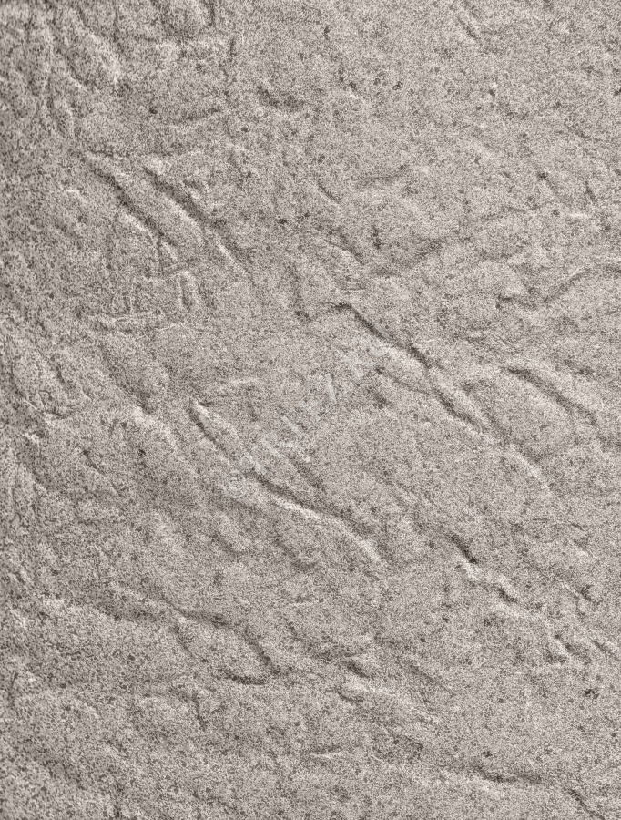 Кашпо TREEZ Effectory - Organic - Высокая чаша - Белый песок фото