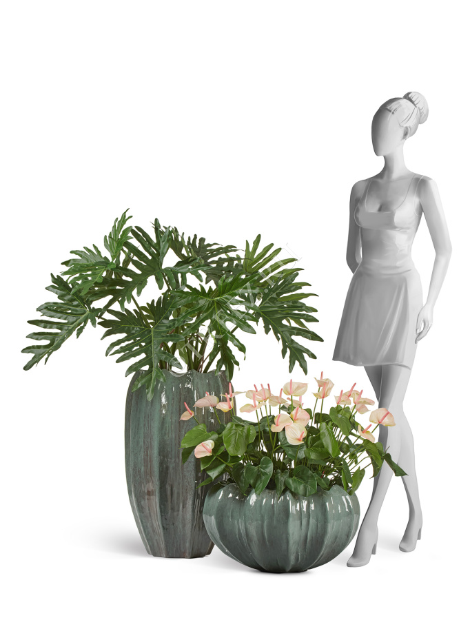 Кашпо TREEZ Effectory - Aura - Низкая Design-чаша - Изумрудный лак фото