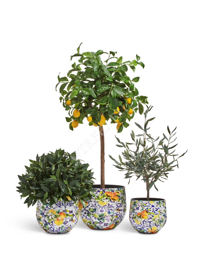 Кашпо TREEZ Effectory - Savage Garden - Чаша - Capri фото