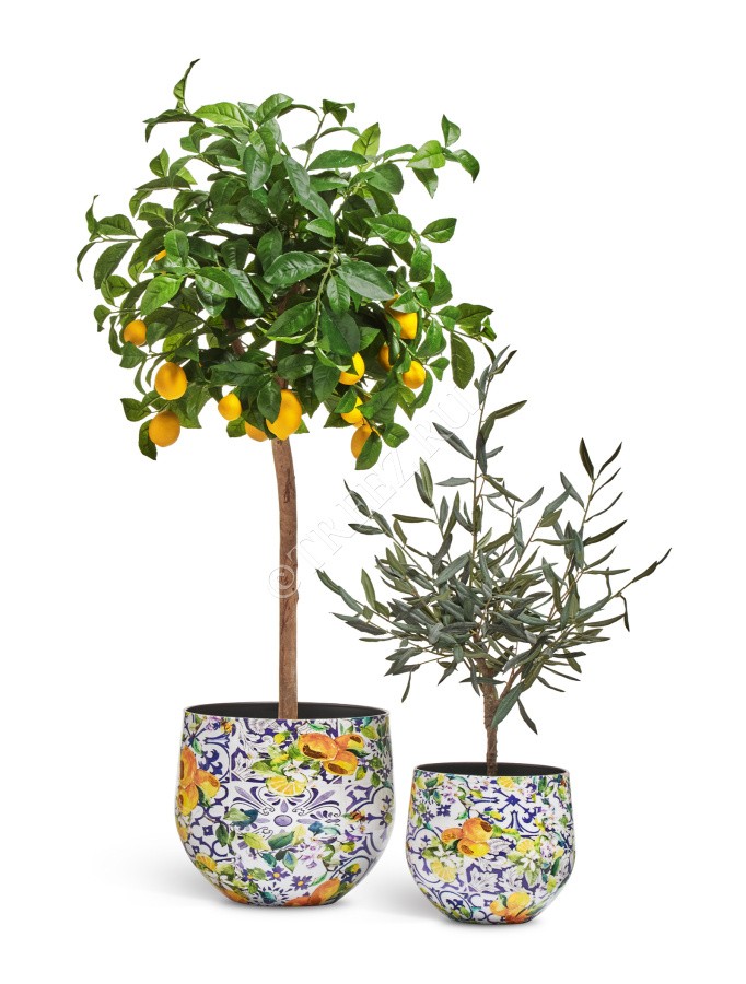 Кашпо TREEZ Effectory - Savage Garden - Чаша - Capri фото