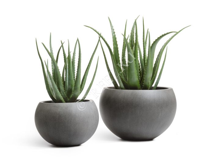 Кашпо TREEZ Effectory - Beton - Полусфера - Тёмно-серый бетон фото