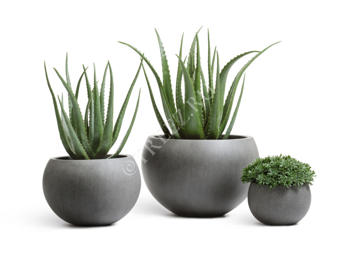 Кашпо TREEZ Effectory - Beton - Полусфера - Тёмно-серый бетон фото