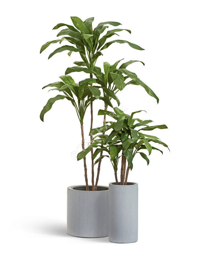 Кашпо TREEZ Effectory - Beton - Высокий цилиндр - Серый ледник фото