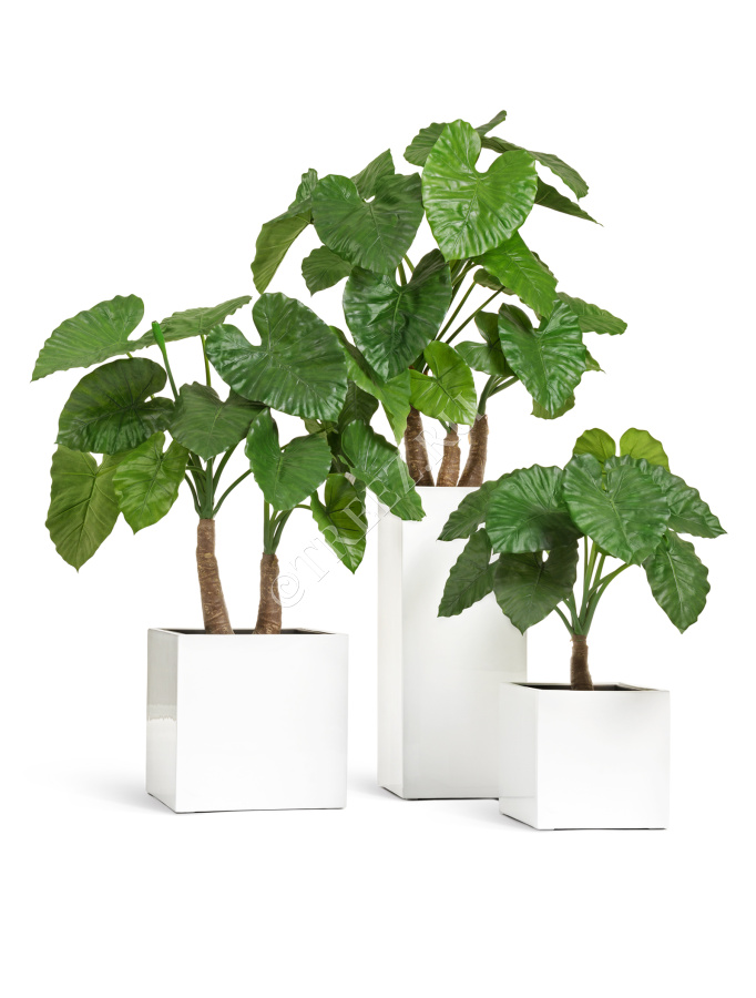 Кашпо TREEZ Effectory - Gloss - Куб - Белый глянцевый лак фото