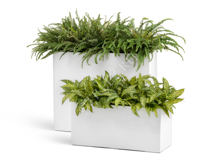 Кашпо TREEZ Effectory - Gloss - Дивайдер высокий - белый глянцевый лак фото