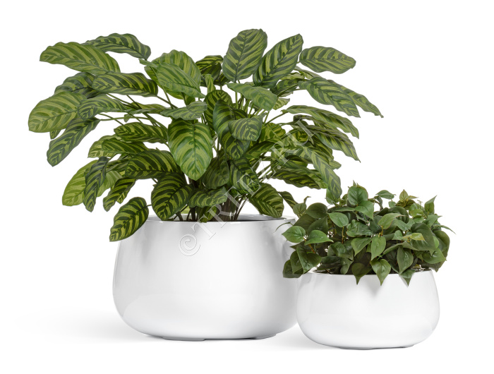 Кашпо TREEZ Effectory - Gloss - Низкая Design-чаша - Белый глянцевый лак фото