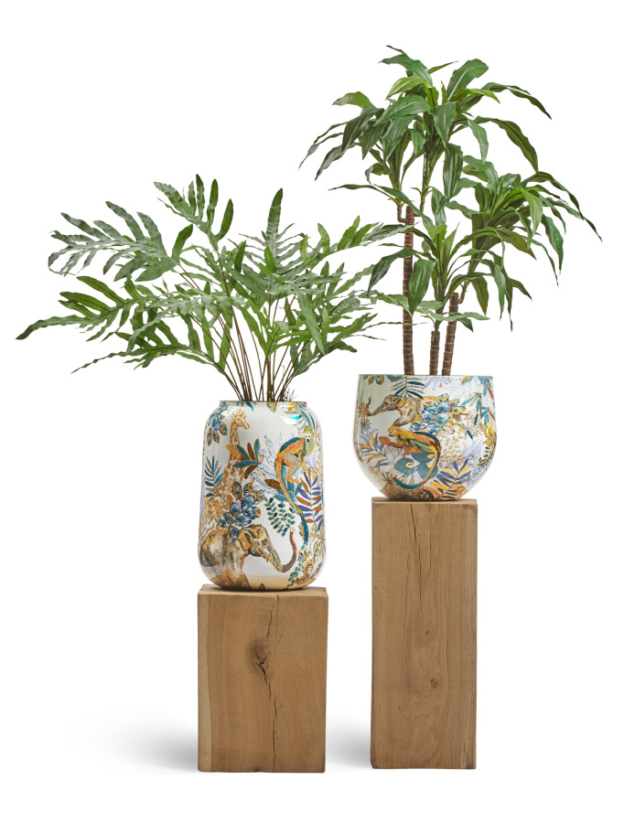 Сет № 48 - Папоротник Рэббит Фут и Драцена Джанет Крейг в кашпо Treez Effectory Savage Garden фото