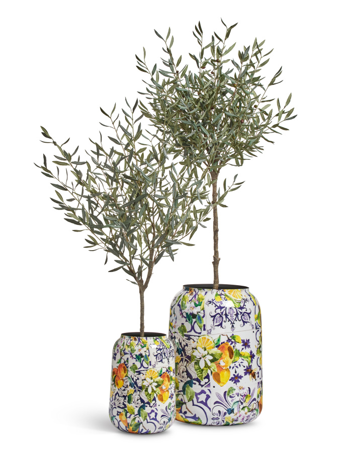 Сет № 51 - Композиция с Оливами (серия Prime) в кашпо Treez Effectory Savage Garden фото