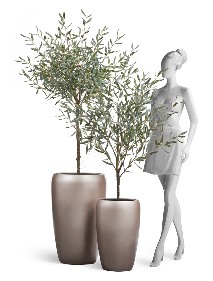 Сет № 103 - Композиция с оливами Prime в матовых кашпо Treez Effectory Metal фото