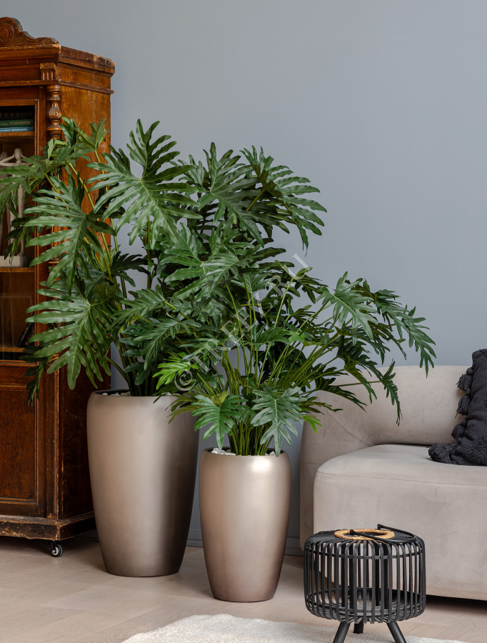 Сет № 105 - Композиция с филодендронами в матовых кашпо Treez Effectory Metal фото