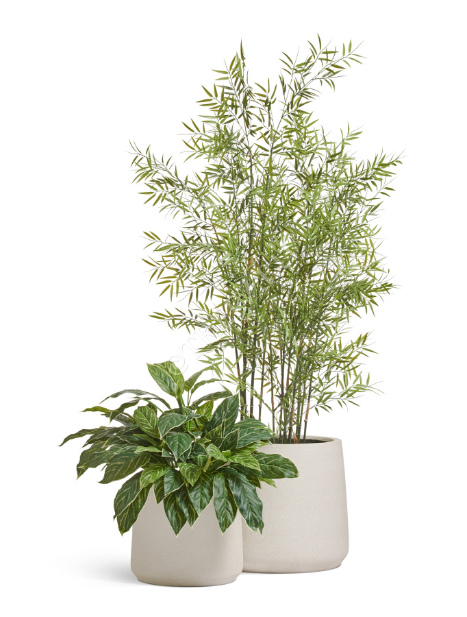 Сет № 112 - Композиция с бамбуком в кашпо Treez Effectory Fine Rock фото