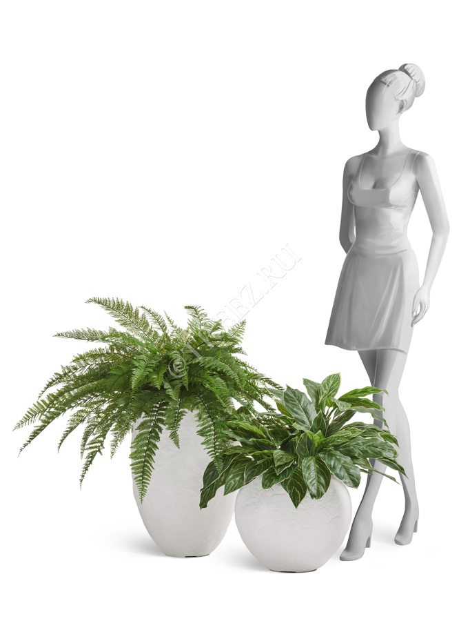 Сет № 114 - Композиция с папоротником в кашпо Treez Effectory Organic фото
