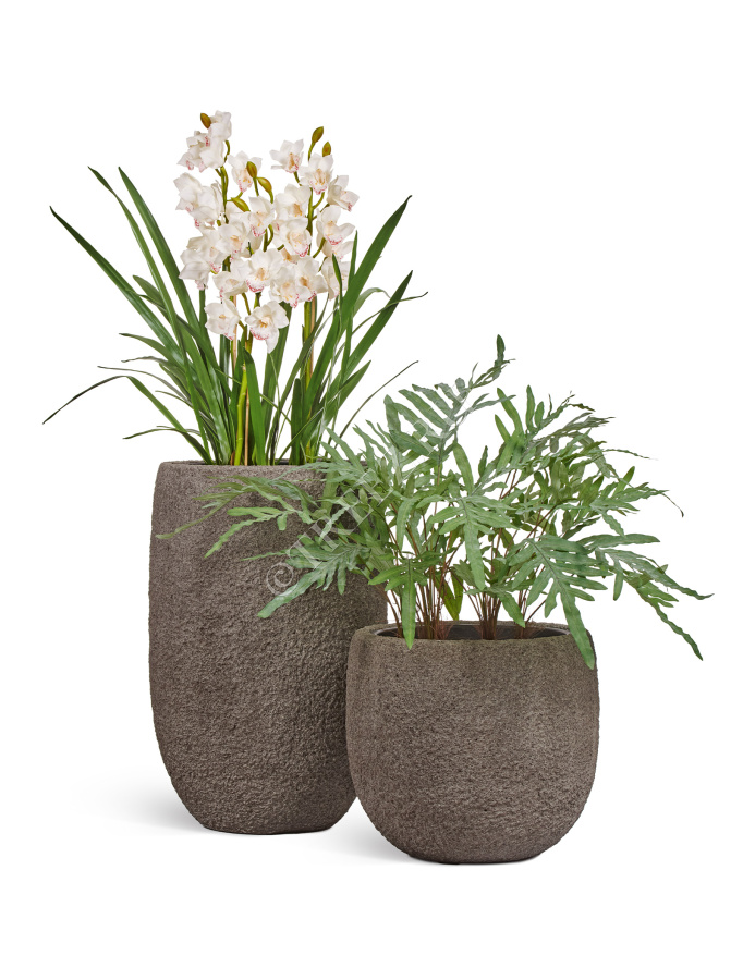 Сет № 129 - Композиция с орхидеей в кашпо Treez Effectory Terra фото