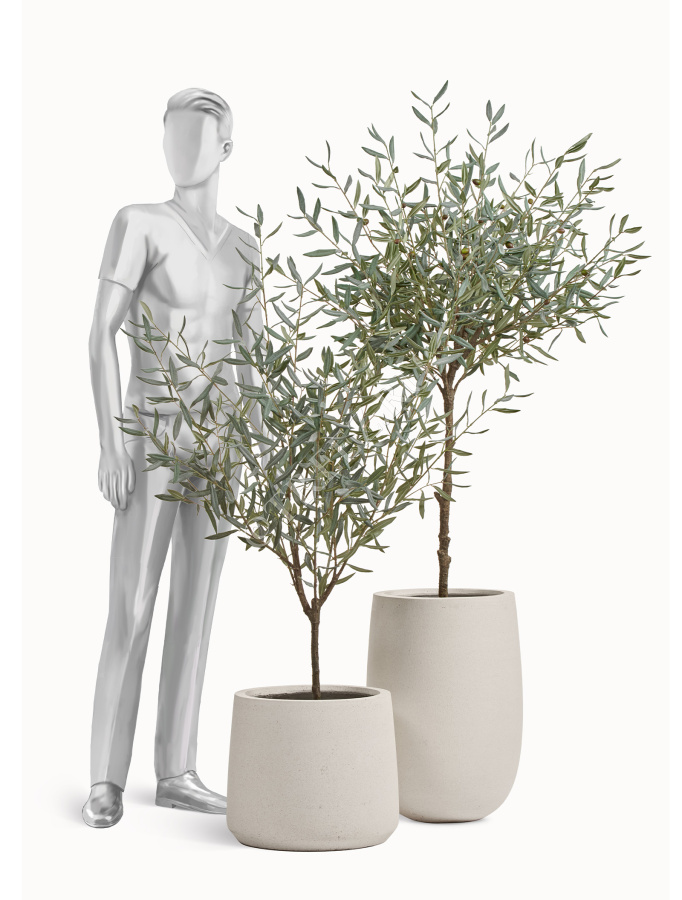 Сет № 130 - Композиция с оливами Prime в кашпо Treez Effectory Fine Rock фото