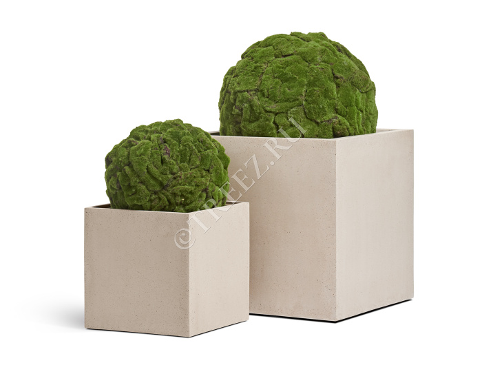 Сет № 131 - Композиция с шарами из мха в кубических кашпо Treez Effectory Beton фото
