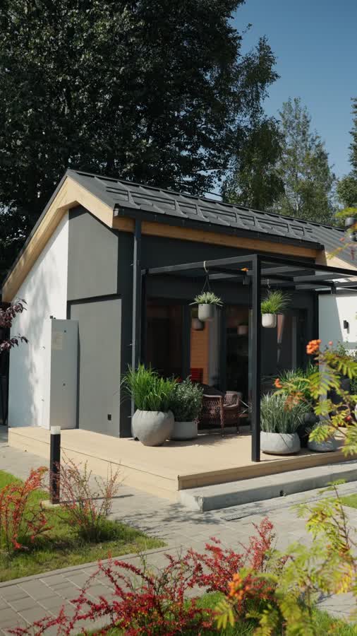 Лемонграсс трава зелёная в горшке фото